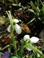 DSCN7826.webp