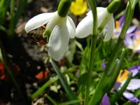 DSCN7828.webp