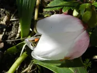 DSCN7830.webp