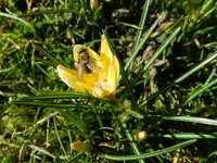 DSCN7998.webp