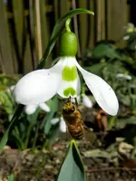 DSCN8012.webp