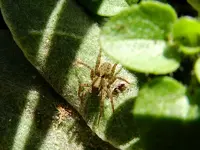 DSCN8035.webp