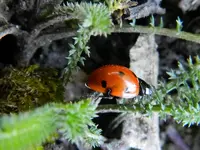 DSCN8065.webp