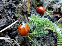 DSCN8070.webp
