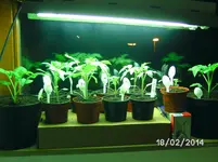BILD4490.webp