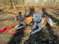 Bella&Loui Wald.webp