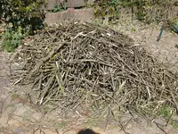 Bau_Hochbeet_Holzhaufen2.webp