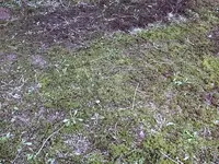 DSCF9160-001.webp