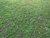 DSCF9161.webp