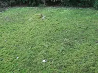 DSCF9162.webp
