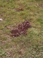 DSCF9175-001.webp