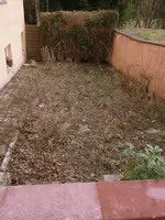 DSCF9177-001.webp