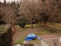 DSCF9180-001.webp