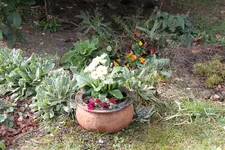 IMG_1927.webp