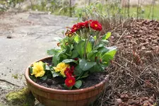 IMG_1929.webp