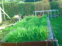 Gr54ündüngere.webp