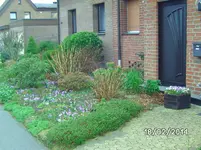 Vorgarten (2).webp