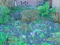 Vorgarten.webp