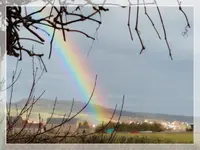 Regenbogen (1).webp
