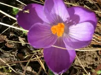 CIMG6840.webp