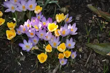 DSC_9764.webp