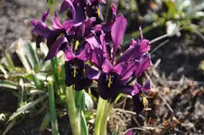 DSC_9793.webp