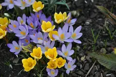 DSC_9839.webp