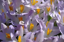 DSC_9778.webp