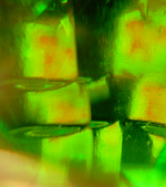 LB (14).webp