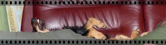 Nach einem langem Tag (6).webp