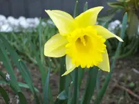 01.webp