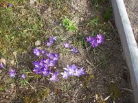02.webp