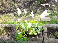 03.webp