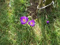 04.webp