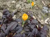 CIMG5409.webp