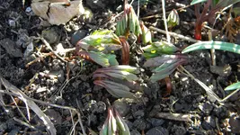 DSCN1700.webp