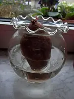 DSCF3471.webp