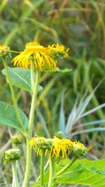 DSCN3839.webp