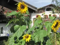 048.webp
