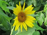 022.webp