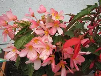 020.webp