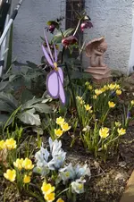 _DSC4612.webp