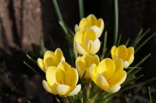 _DSC4633.webp