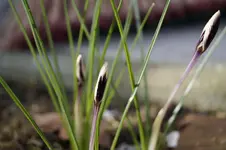 _DSC4637.webp