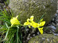 DSCN6676.webp