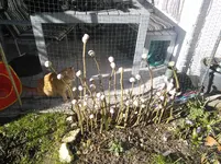 tmp_IMG_20140228_151313-1026992023.webp