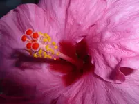 P1110371.webp