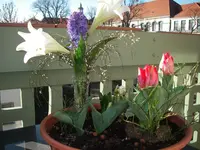 IMGP0072.webp