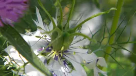 DSCN3604.webp