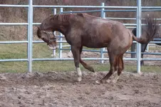 2014_0228winter0024.webp